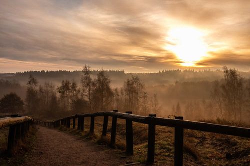 Kwintelooijen part 24