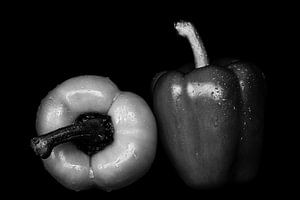 Stillleben zwei Paprika auf schwarz in schwarz-weiss nebeneinander mit Wassertropfen