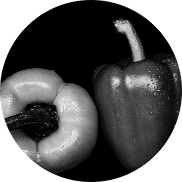 Stilleven twee paprika's op zwart in zwart-wit naast elkaar met waterdruppels van Dieter Walther