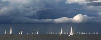 Delta Lloyd 24-hour Sail Race II