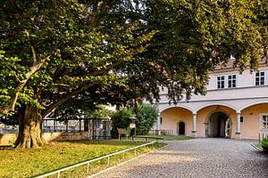 Arnstadt in Thüringen
