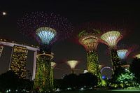 Gardens by the Bay