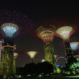 Gardens by the Bay van Martin de Hoog