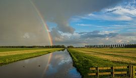 Rainbow by John Monster