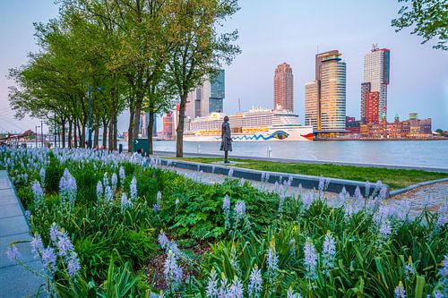 AIDAprima spring evening