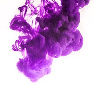 purple sur Silvio Schoisswohl