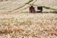 Bett im Kornfeld von Carina Buchspies Miniaturansicht