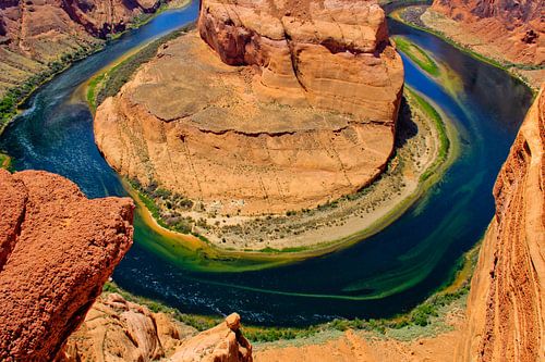 The Beauty of Nature