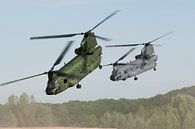 Königlich Niederländische Luftwaffe CH-47 Chinook von Dirk Jan de Ridder - Ridder Aero Media Miniaturansicht