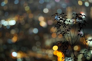 Bokeh Hong Kong Skyline from Beacon Hill von Andrew Chang