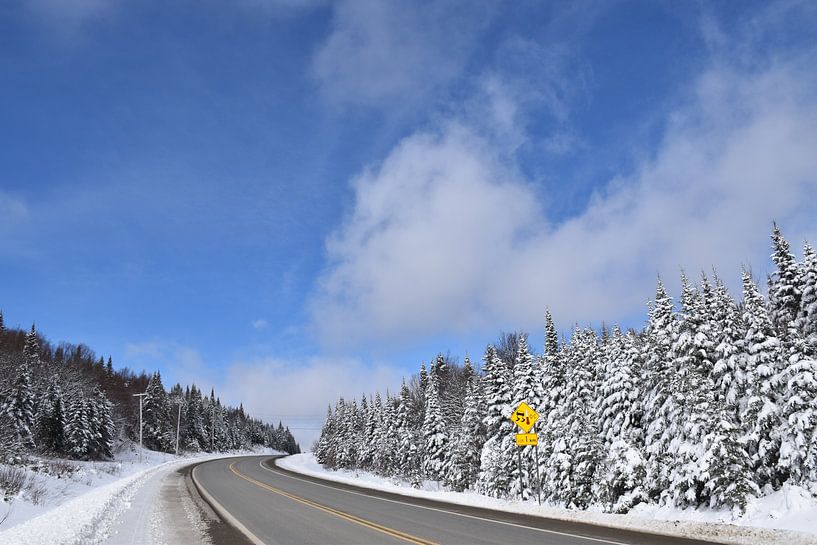 A country road in winter by Claude Laprise
