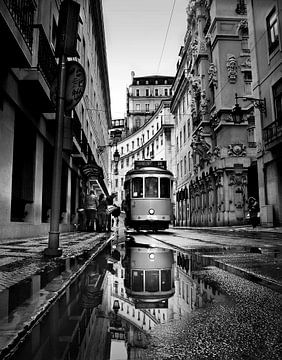 Regenachtige dagen in Lissabon, Ezequiel59 van 1x