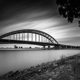 The Vian Arch Bridge with tree on breakwater (Black and white) by John Verbruggen