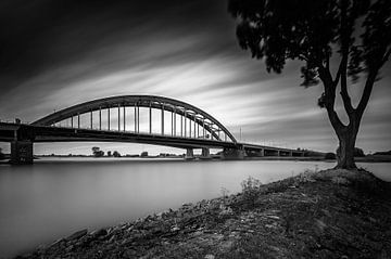 The Vian Arch Bridge with tree on breakwater (Black and white)