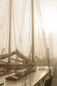 Alte Traditionssegler an einem nebligen Morgen vor Anker