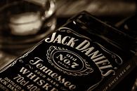 Jack by Halma Fotografie thumbnail