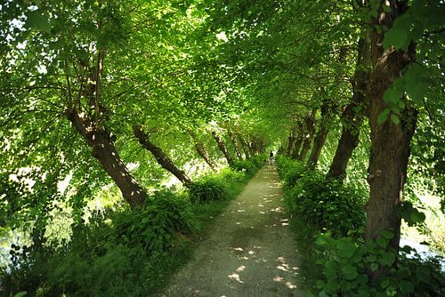 Kersenlaantje, Vaassen, The Netherlands.