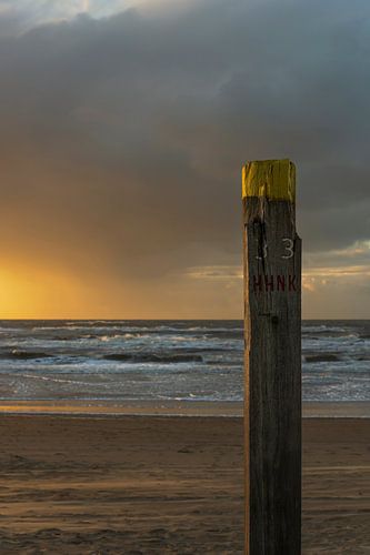 Holzpoller am Strand