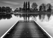 Bultpark - Lelystad von Theo Hannink Miniaturansicht