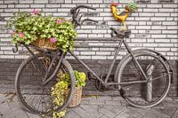 Sepia Fiets met haan
