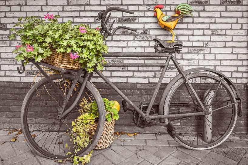 Sepia Fiets met haan van Willem Visser