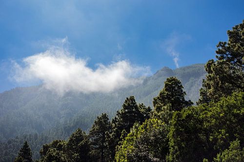 Landschaft auf der Kanarischen Insel Teneriffa