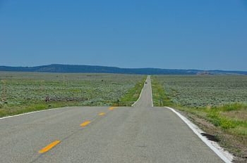 Long road 