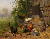 Kippenboerderij, Carl Jutz