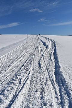 A snowmobile trail under blue skies by Claude Laprise