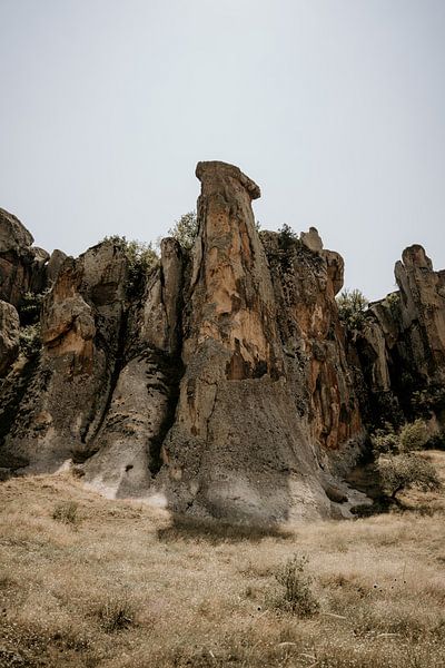 Berggiganten in der Türkei von Christa Stories