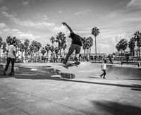 Venice 360