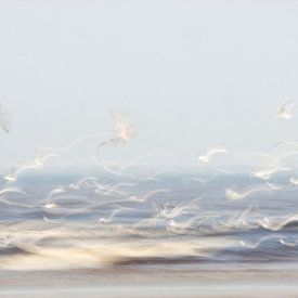 Flüchtig (fast abstraktes Bild von fliegenden Möwen über dem Meer)) von Birgitte Bergman