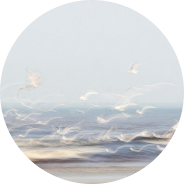 Vluchtig (Bijna abstract beeld van vliegende zeemeeuwen boven zee)) van Birgitte Bergman
