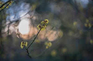 Arboretum Teil 2