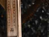 25 graden op de thermometer  von Veluws Miniaturansicht