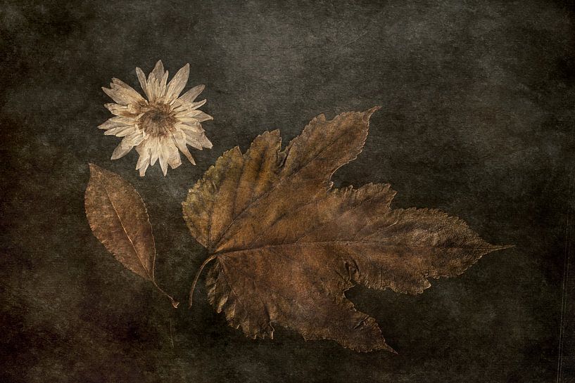 The Trio by Cicek Kiral