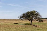 Landscape at Lof, Germany with tree on the foreground par Jaap Mulder Aperçu