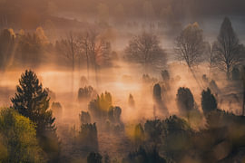 Fog lights by Pure Moments Photographie