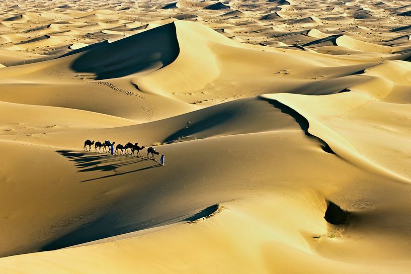 Désert du Sahara, caravane de chameaux et chameliers par Frans Lemmens