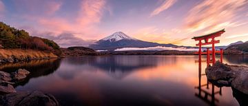 Fuji en Torii in het avondlicht van Poster Art Shop