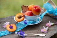 Delicate blossoms peach still life by Tanja Riedel thumbnail