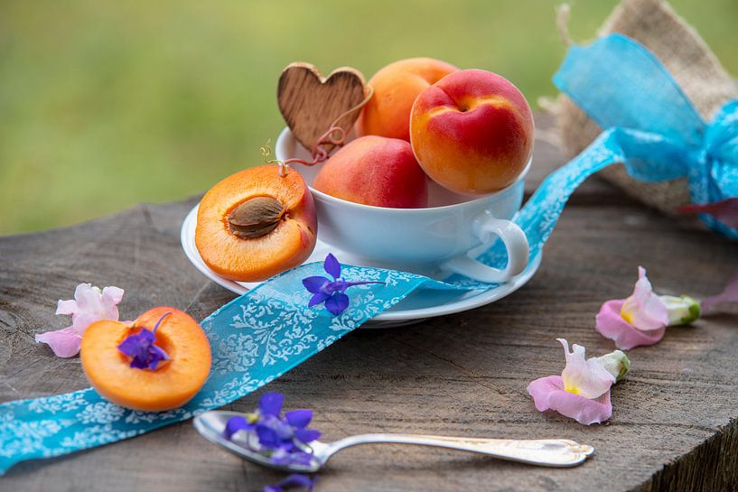 Delicate blossoms peach still life by Tanja Riedel