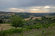 Vlak voor zonsondergang, landschap Piemont, Italie van Joost Adriaanse thumbnail