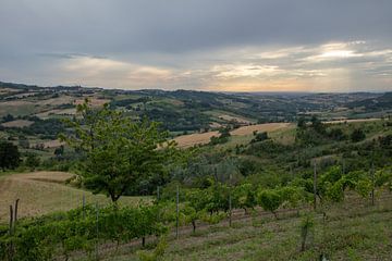 Kurz vor Sonnenuntergang, Landschaft im Piemont, Italien