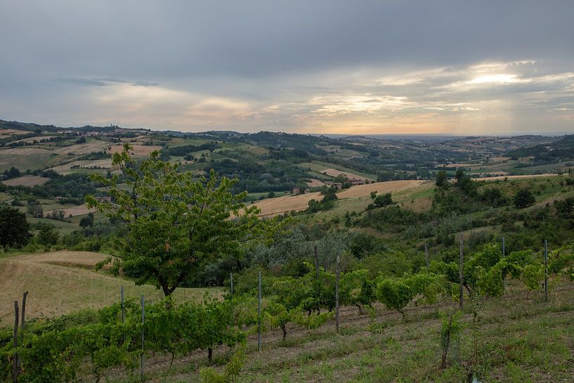 Vlak voor zonsondergang, landschap Piemont, Italie van Joost Adriaanse