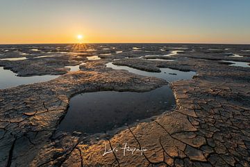 De Friese waddenkust van lars Bosch