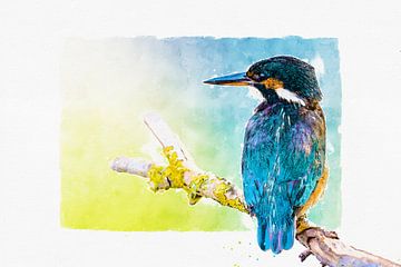 Kingfisher - illustration by Gianni Argese