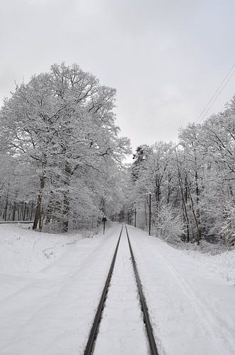 Besneeuwd bos in Göhren, spoorwegen
