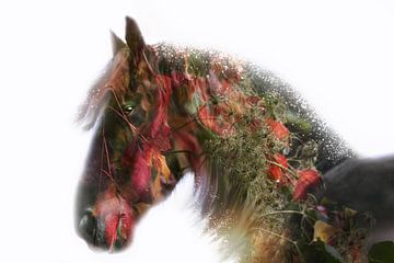 autumn horse (fries paard) van Kim van Beveren