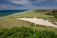 Beach and dunes on Sylt